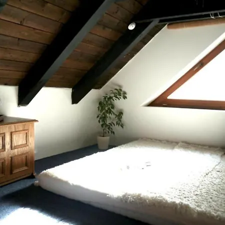 Vila Comfortable With Facilities Benecko