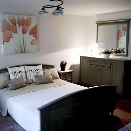 Comfortable With Facilities Vila