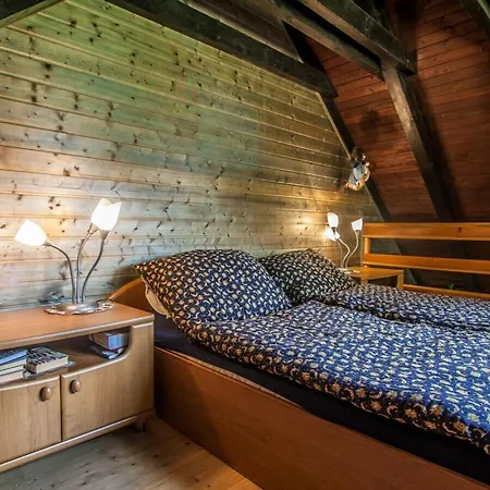Vila Comfortable With Facilities Benecko